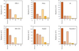 GeneJuice&#174; Transfection Reagent Non-lipid based chemical transfection reagent optimized for maximum transfection efficiency, ease-of-use, and minimal cytotoxicity on a wide variety of mammalian cells.