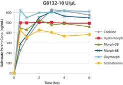 &#946;-Glucuronidase from limpets (Patella vulgata) Type L-II, lyophilized powder, 1,000,000-3,000,000&#160;units/g solid