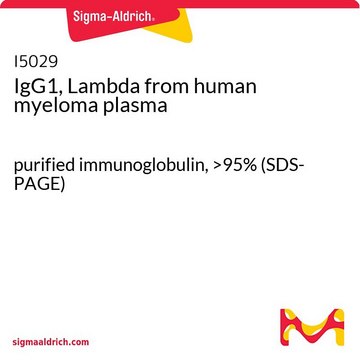 IgG1, Lambda from human myeloma plasma purified immunoglobulin, &gt;95% (SDS-PAGE)