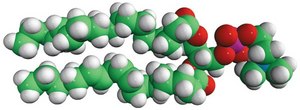 18:0-18:2 PC 1-stearoyl-2-linoleoyl-sn-glycero-3-phosphocholine, powder