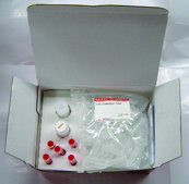 REDExtract-N-Amp&#8482; Plant PCR Kit sufficient for 100&#160;extractions, sufficient for 500&#160;amplifications