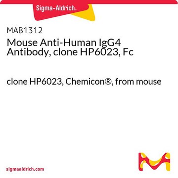 Mouse Anti-Human IgG4 Antibody, clone HP6023, Fc clone HP6023, Chemicon&#174;, from mouse