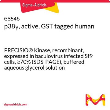 p38&#947;, active, GST tagged human PRECISIO&#174; Kinase, recombinant, expressed in baculovirus infected Sf9 cells, &#8805;70% (SDS-PAGE), buffered aqueous glycerol solution
