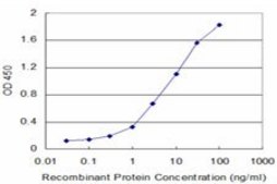 Monoclonal Anti-TNF antibody produced in mouse clone 1C3-A1-F4, purified immunoglobulin, buffered aqueous solution
