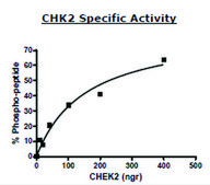 CHK2 active human recombinant, expressed in baculovirus infected Sf9 cells, &#8805;70% (SDS-PAGE)