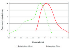 CellVue&#174; Claret Far Red Fluorescent Cell Linker Midi Kit for General Membrane Labeling Distributed for Phanos Technologies