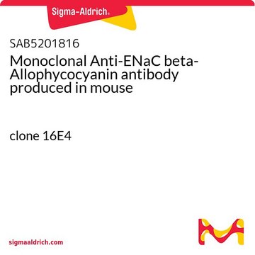 Monoclonal Anti-ENaC beta-Allophycocyanin antibody produced in mouse clone 16E4