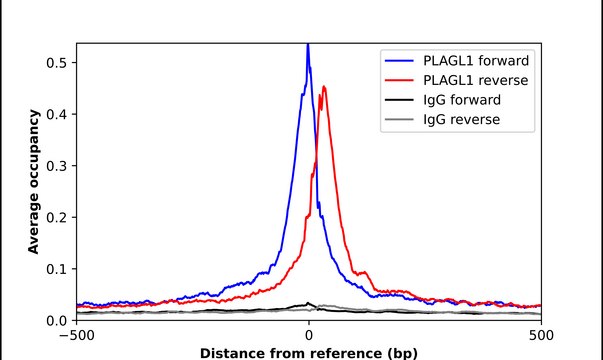 Anti-PLAGL1 antibody produced in rabbit Prestige Antibodies&#174; Powered by Atlas Antibodies, affinity isolated antibody
