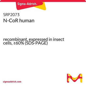 N-CoR human recombinant, expressed in insect cells, &#8805;60% (SDS-PAGE)