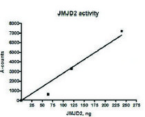 JMJD2A active human recombinant, expressed in E. coli, &#8805;80% (SDS-PAGE)