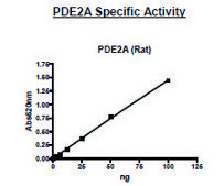 PDE2A active rat recombinant, expressed in baculovirus infected Sf9 cells, ≥56% (SDS-PAGE)