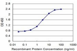 Monoclonal Anti-CLPS, (C-terminal) antibody produced in mouse clone 4G3, purified immunoglobulin, buffered aqueous solution