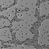 Iron oxide(II,III), magnetic nanoparticles solution 30&#160;nm avg. part. size (TEM), amine functionalized, 1&#160;mg/mL Fe in H2O, dispersion