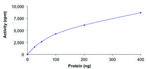 c-KIT (N822K), active, GST tagged human PRECISIO&#174;, recombinant, expressed in baculovirus infected Sf9 cells, &#8805;70% (SDS-PAGE), buffered aqueous glycerol solution