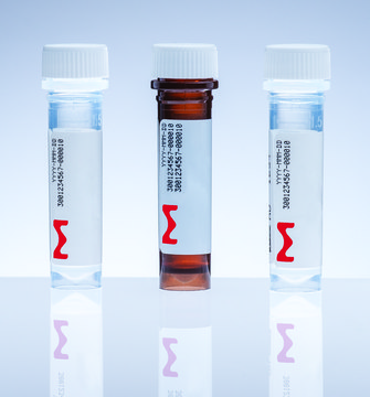 Custom qPCR Probes Design and Order DNA, Locked Nucleic Acid, MGB:EDQ and BHQ Probes for qPCR