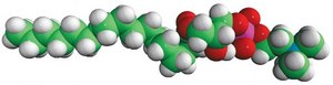 17:0 Lyso PC 1-heptadecanoyl-2-hydroxy-sn-glycero-3-phosphocholine, chloroform
