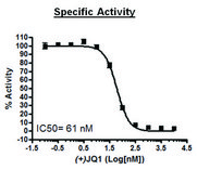 BRD2 (339-459) GST tag human recombinant, expressed in E. coli, &#8805;86% (SDS-PAGE)
