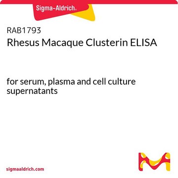 Rhesus Macaque Clusterin ELISA for serum, plasma and cell culture supernatants