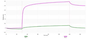 Anti-L1CAM/CD171 Antibody, clone 2B15 ZooMAb&#174; Rabbit Monoclonal recombinant, expressed in HEK 293 cells