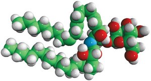 Glucosylceramide (Soy) Avanti Research&#8482; - A Croda Brand