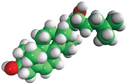 22(R)-hydroxycholesterol Avanti Research&#8482; - A Croda Brand
