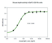 Leptin from mouse &#8805;98% (SDS-PAGE), recombinant, expressed in E. coli, lyophilized powder