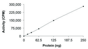 PCTK3 (CDK18)/CYCLINY, Active PRECISIO&#174; Kinase, recombinant