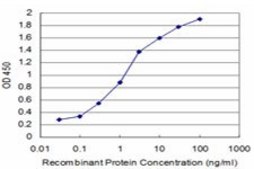 Monoclonal Anti-SMAD7 antibody produced in mouse clone 3G8, purified immunoglobulin, buffered aqueous solution