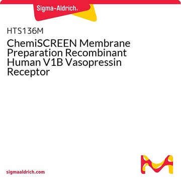 ChemiSCREEN Membrane Preparation Recombinant Human V1B Vasopressin Receptor