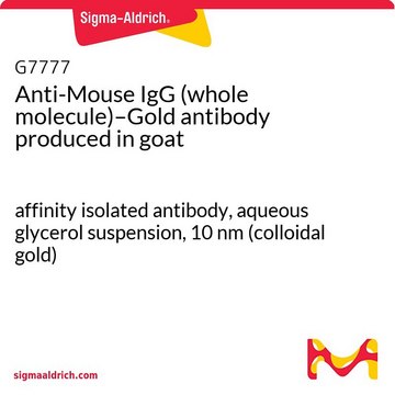 Anti-Mouse IgG (whole molecule)–Gold antibody produced in goat affinity isolated antibody, aqueous glycerol suspension, 10 nm (colloidal gold)
