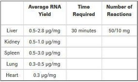 High Pure RNA Tissue Kit sufficient for 50&#160;isolation(s), suitable for RT-PCR, suitable for Northern blotting