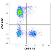 Monoclonal Anti-CD56 PE produced in mouse