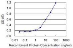 Monoclonal Anti-SLC22A8 antibody produced in mouse clone 3C11, purified immunoglobulin, buffered aqueous solution