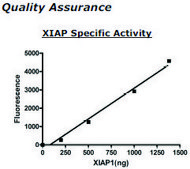 XIAP Active human recombinant, expressed in baculovirus infected insect cells, &#8805;65% (SDS-PAGE)