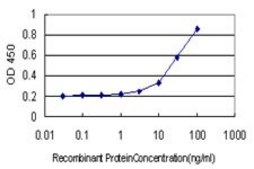Monoclonal Anti-NR0B1, (C-terminal) antibody produced in mouse clone 2F12, purified immunoglobulin, buffered aqueous solution