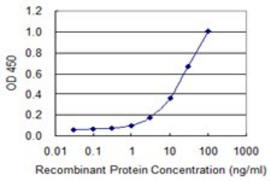Monoclonal Anti-IDH3G antibody produced in mouse clone 2A2-1D3, purified immunoglobulin, buffered aqueous solution