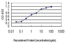 Monoclonal Anti-CRIM1 antibody produced in mouse clone 6E4, purified immunoglobulin, buffered aqueous solution