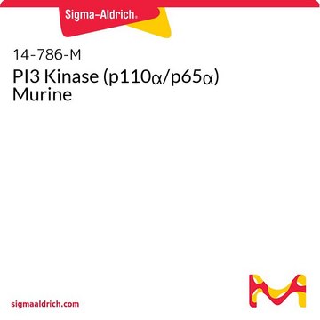 PI3 Kinase (p110&#945;/p65&#945;) Murine