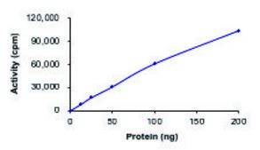 EGFR (T790M C797S L858R), Active PRECISIO &#174;Kinase, recombinant