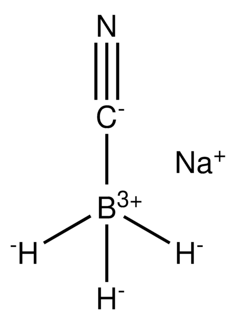 Sodium cyanoborohydride reagent grade, 95%