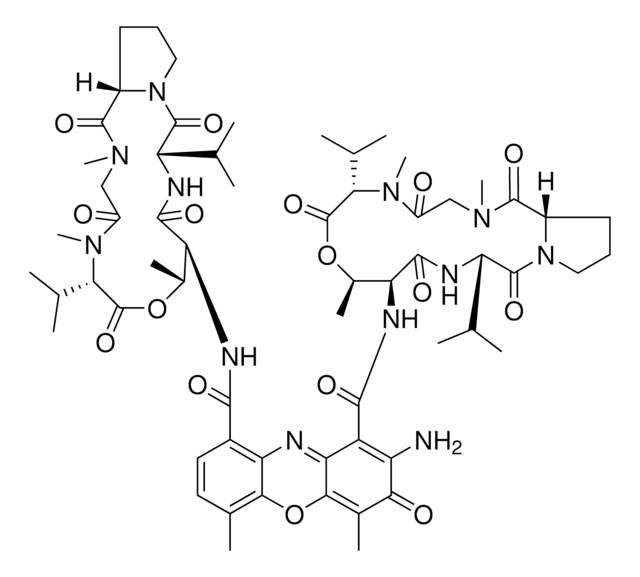 Actinomycin D Ready Made Solution, from Streptomyces sp., 2&#160;mg/mL in DMSO