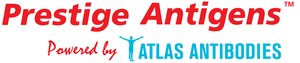 PrEST Antigen CCNK Prestige Antigens&#8482; Powered by Atlas Antibodies, buffered aqueous solution